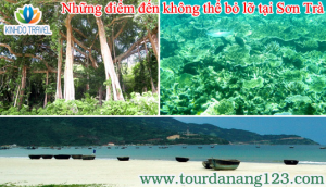 Những điểm đến không thể bỏ lỡ khi du lịch bán đảo Sơn Trà - Đà Nẵng